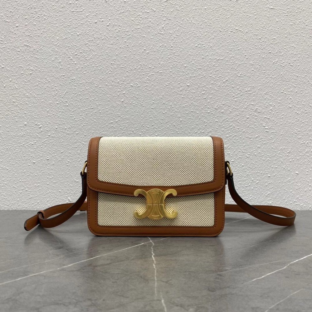 Celine Triomphe Teen Bag In Textile and Calfskin